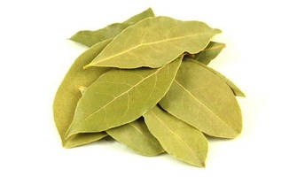 Laurel leaves