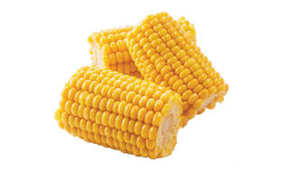 Corn